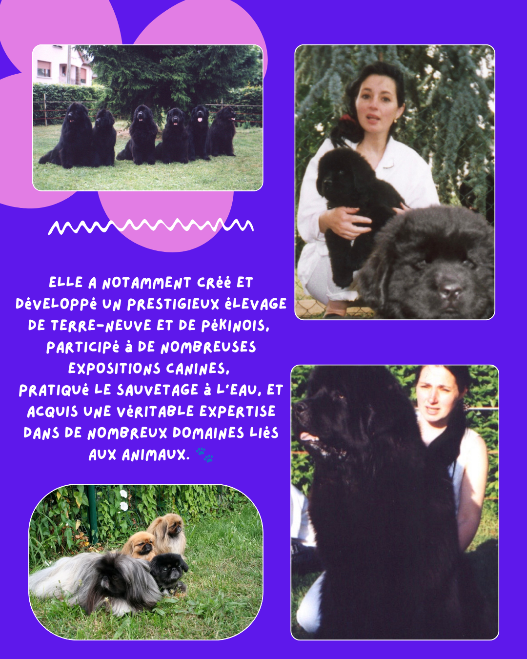 Mamie Betty et son élevage